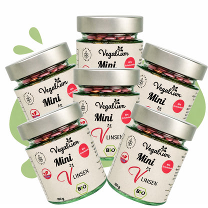 6er Set MINI Vlinsen - Schoko im Glas bio,vegan 6 x 100g MINI Schokolinsen 600g