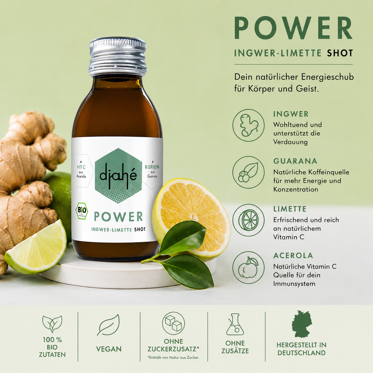 djahé POWER Bio Ingwer Limette Shot 100ml in der Glasflasche
