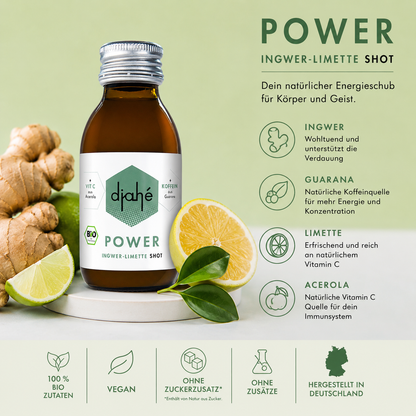 djahé POWER Bio Ingwer Limette Shot 100ml in der Glasflasche