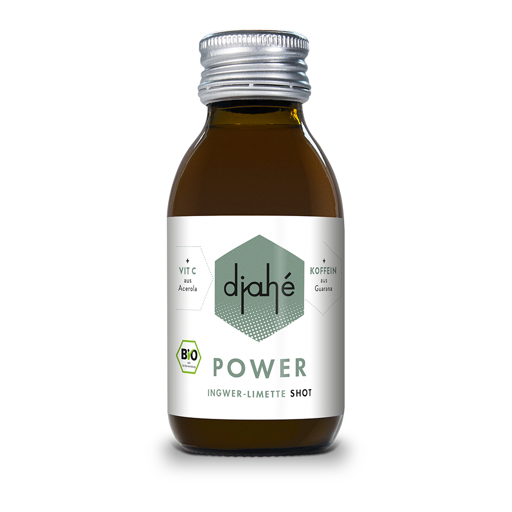 djahé POWER Bio Ingwer Limette Shot 100ml in der Glasflasche