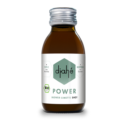 djahé POWER Bio Ingwer Limette Shot 100ml in der Glasflasche