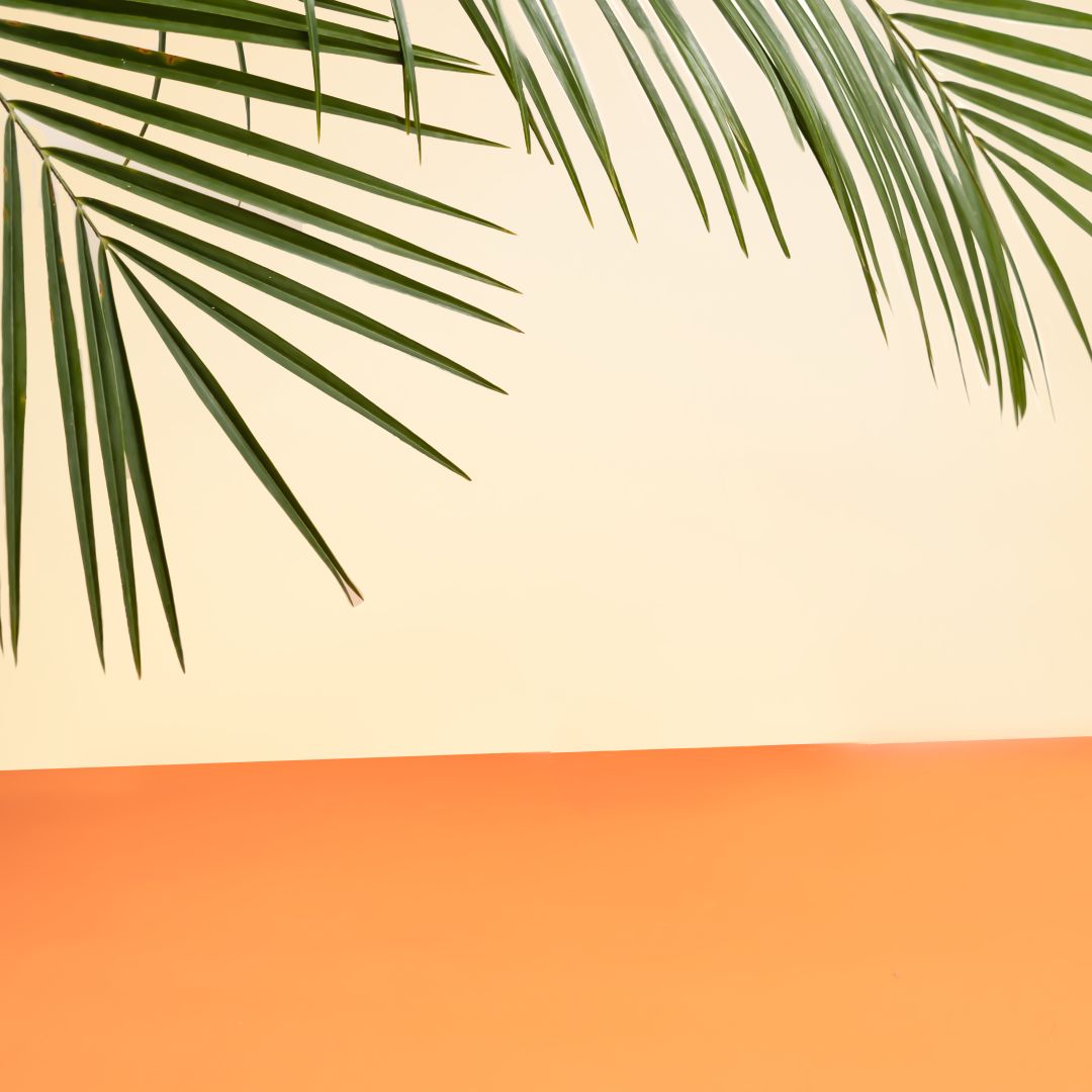 Rezept Cockail - Veganer Met mit Aperol