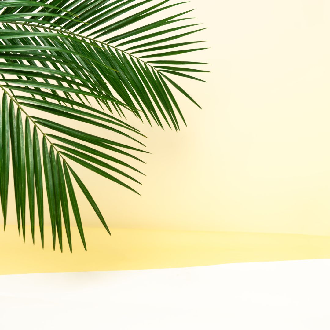 Rezept Cockail - Tropenzauber vegan mit ElfenTrunk Met